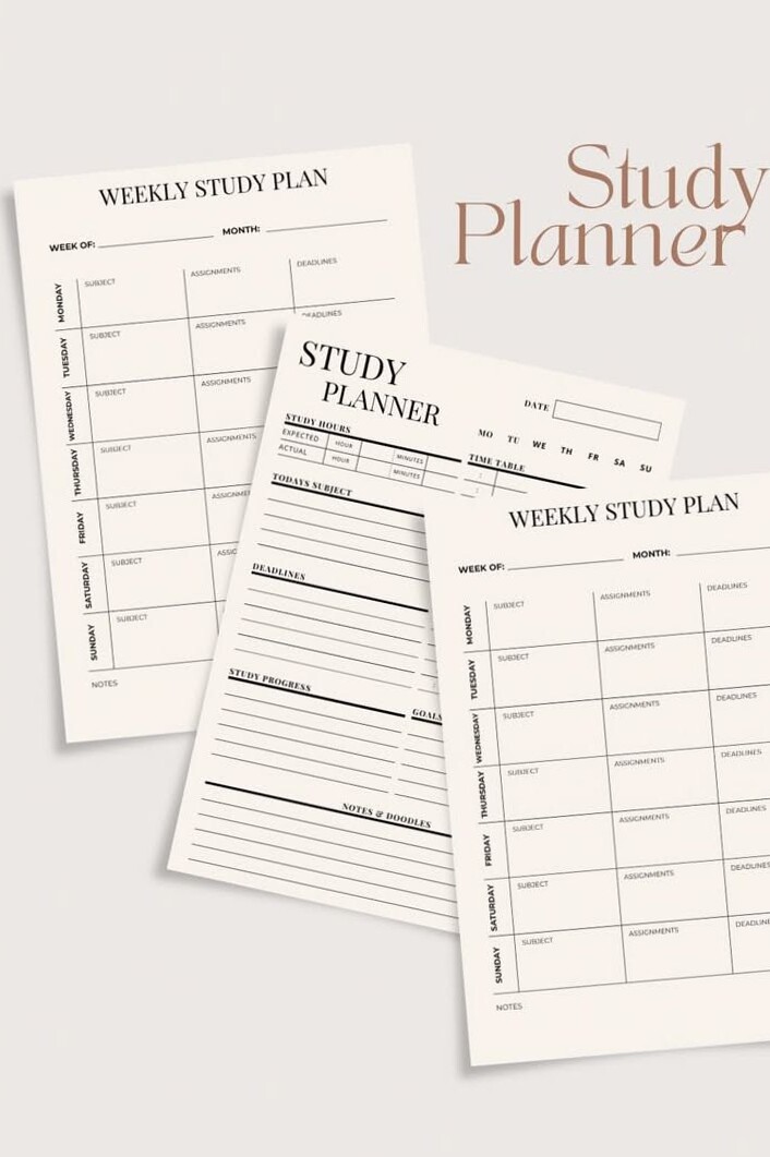 🖌️ 🪄 Study Planner for Students | GoodNotes PDF Weekly Organizer | romanticize your routine
