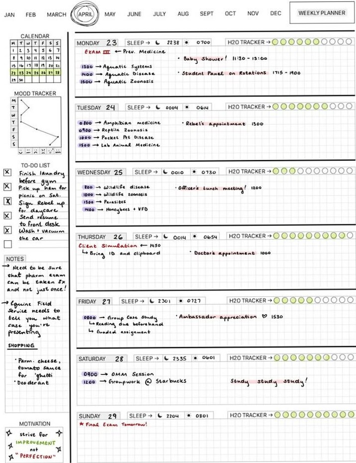 Veterinary Studies Weekly Planner 04.28.18 — 🪄 🪄 secret to staying productive
