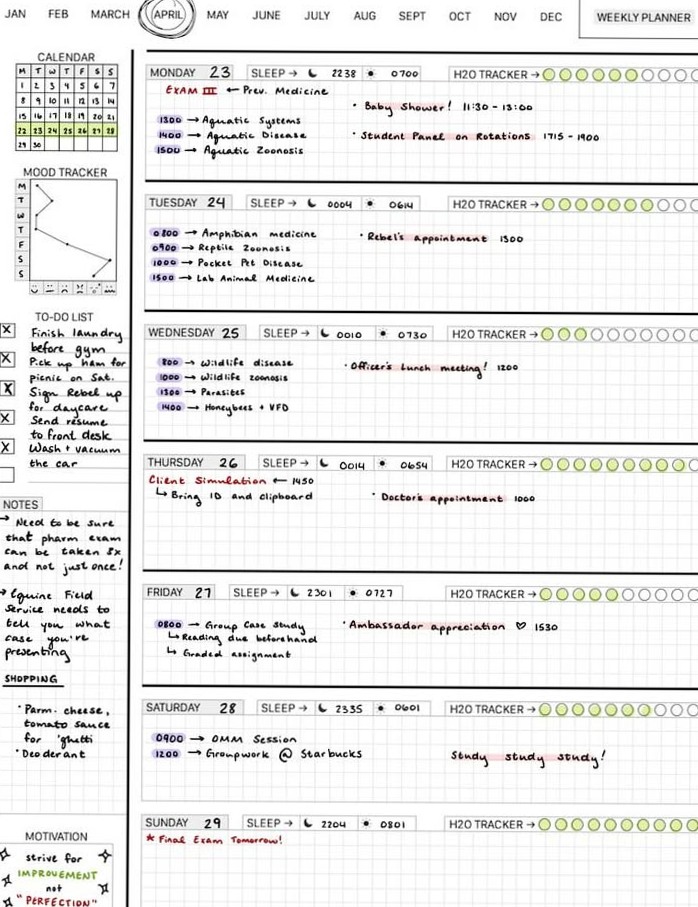 💎 🪄 Veterinary Studies Weekly Planner 04.28.18 | stay inspired all year long