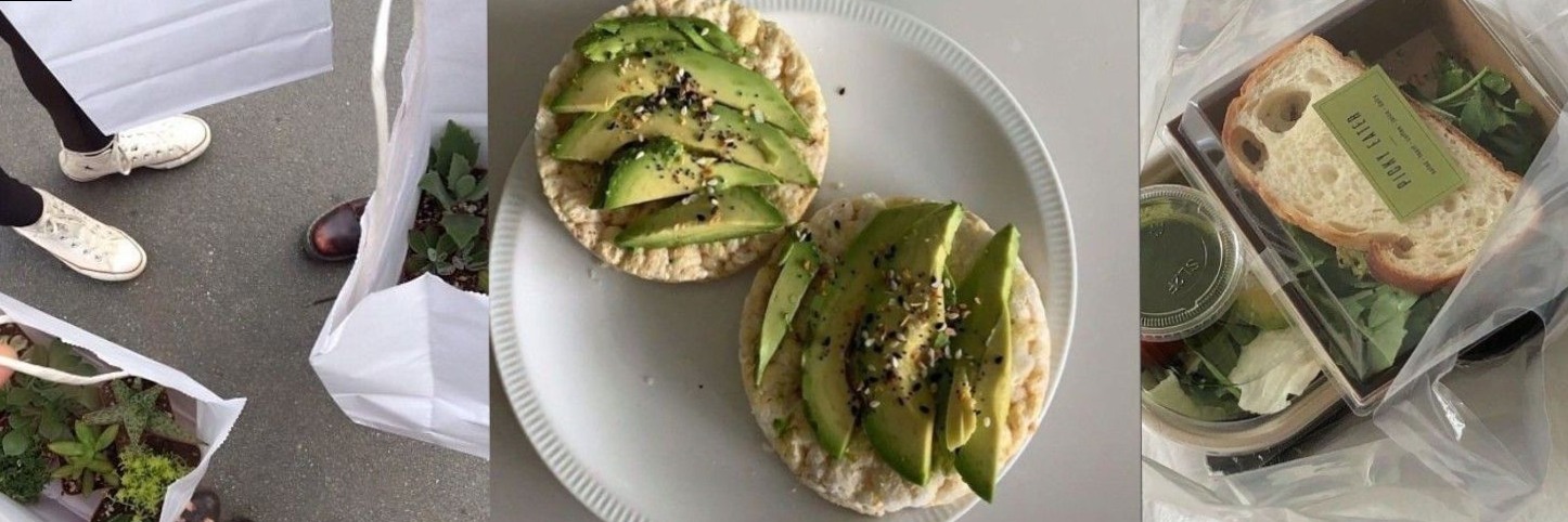 Vibrant Green Header for Digital Design & Planners — 📍 🪄 dream life manifestation