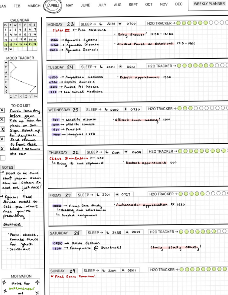 Weekly Planner Printable for Creative Goals | Stay Inspired All Year Long — 🌿 🤍 secret to staying productive
