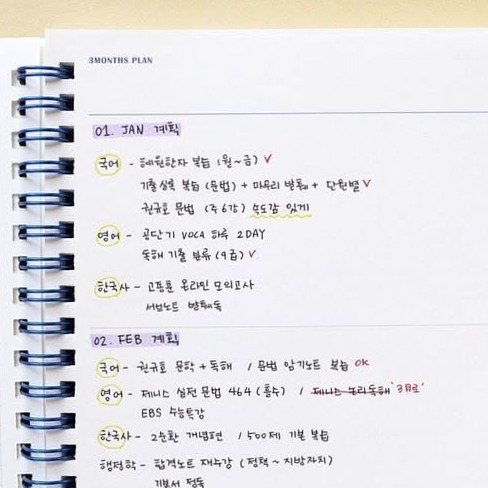 🥂 🍰 3 Times a Day Study Planner 231 | Digital Design Planner | Creative Assets | dream life manifestation