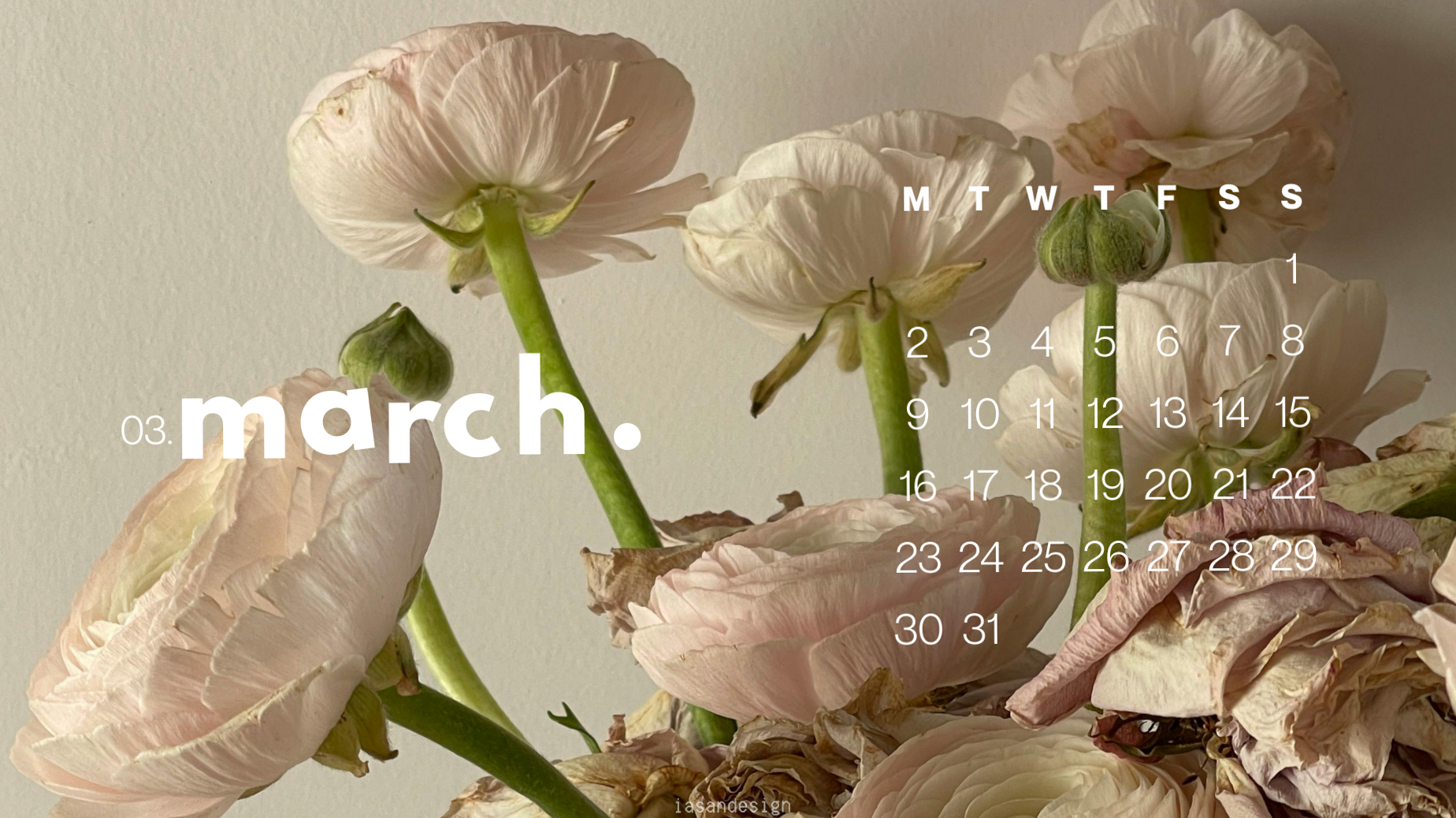 30 fonds d’écran gratuits pour Mars 2026 — 🤍 🕯️ dream life manifestation