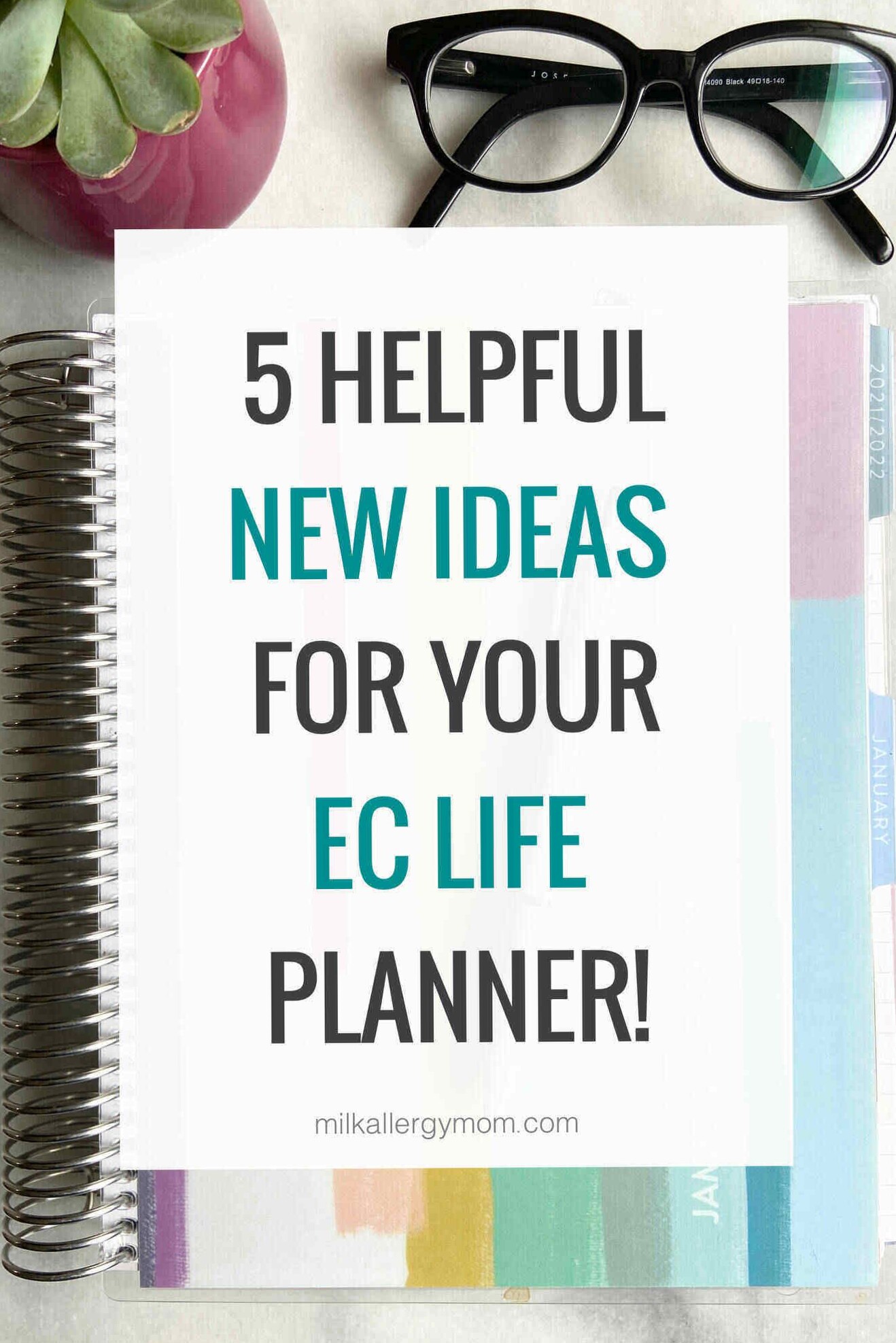💍 💌 5 Organization Ideas for EC Life Planners | romanticize your routine