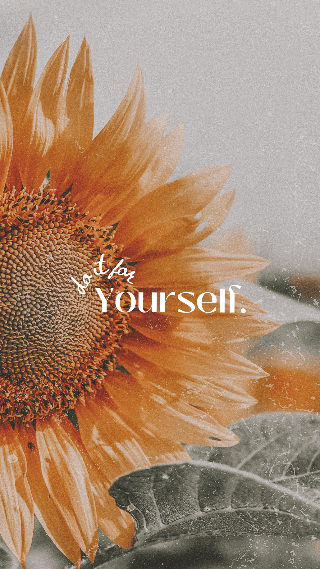 💌 🍰 85+ Free Motivational iPhone Wallpapers 2025 | dream life manifestation