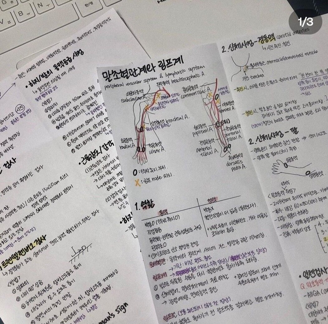 Creative Note Taking Ideas for Digital Design & Planners — 🎨 🎨 secret to staying productive