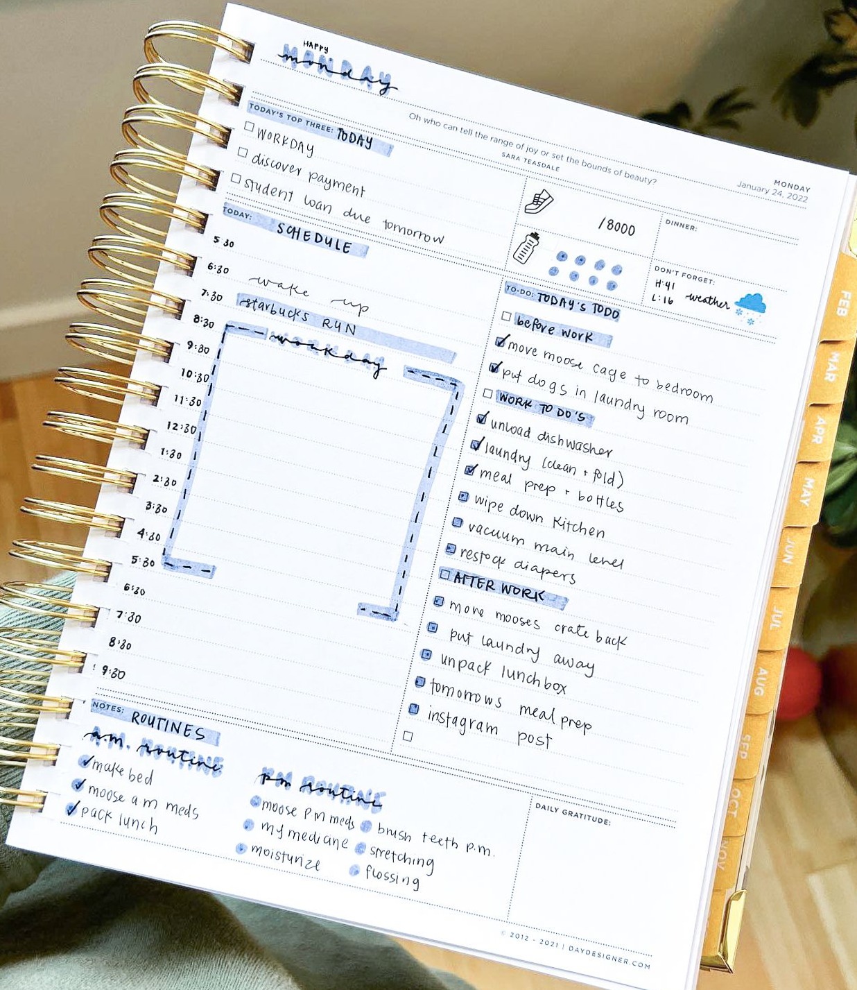 💍 🥂 Daily Planning Page for Creative Productivity | romanticize your routine