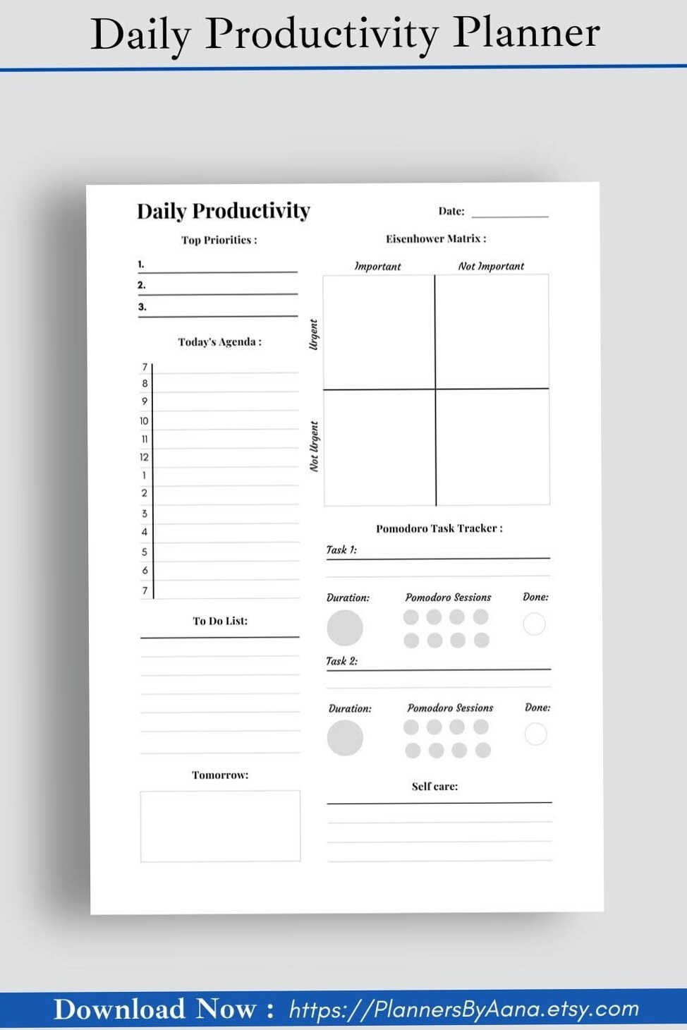 🪄 🖌️ dream life manifestation: Daily Productivity Planner | Eisenhower Digital Template