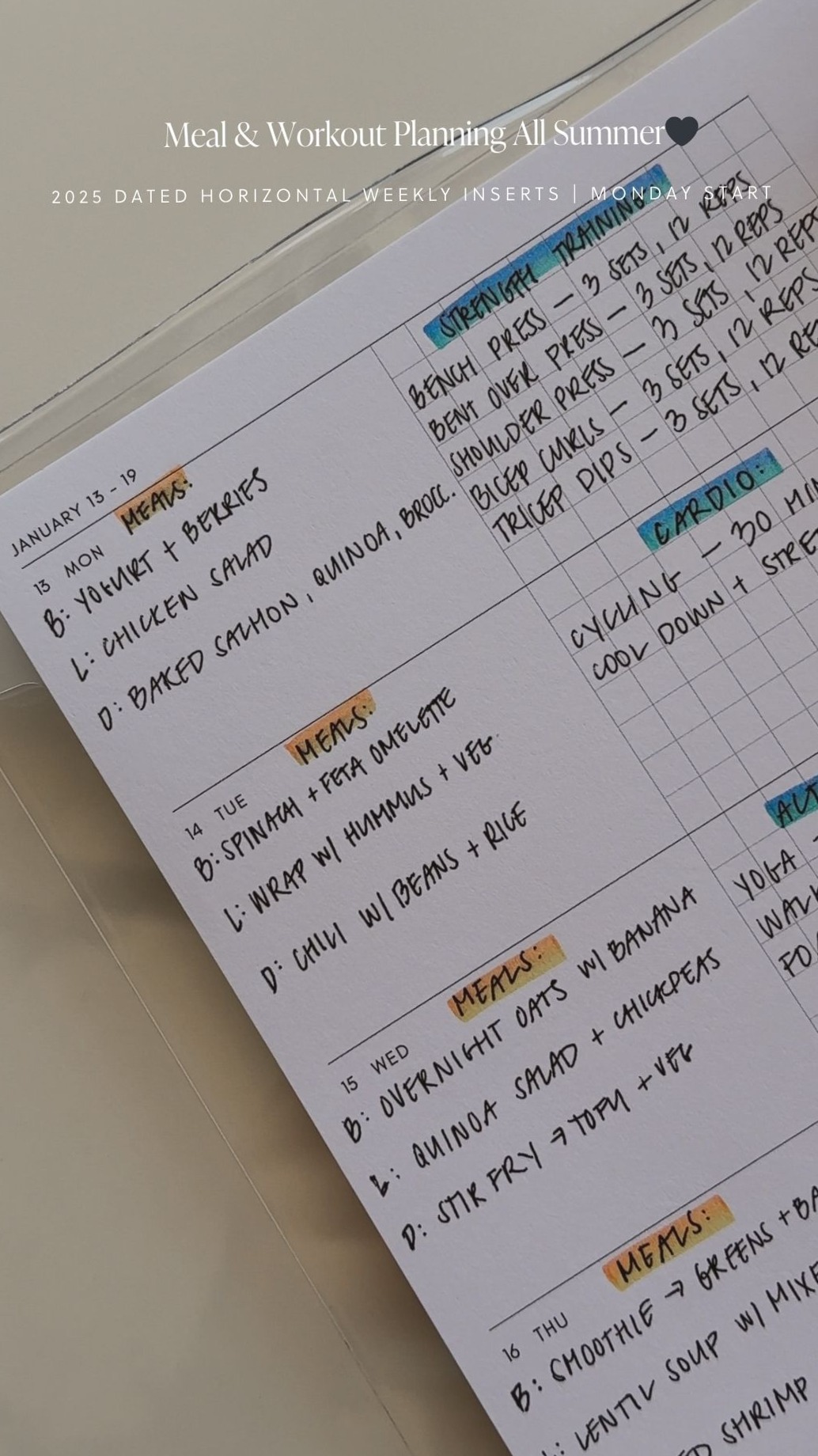 💎 🎨 dream life manifestation: Meal & Workout Plan Digital Design Bundle