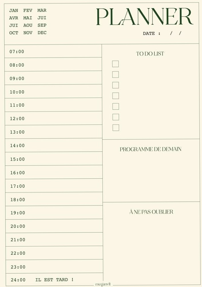 🍰 🌸 dream life manifestation: Megan Vlt Planner — Organisation digitale élégante