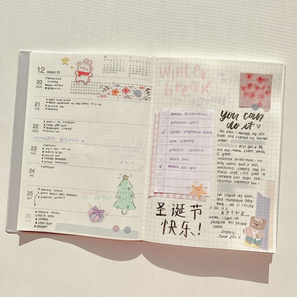 💌 💍 dream life manifestation: Minimalist Muji Planner Design for Creative Productivity