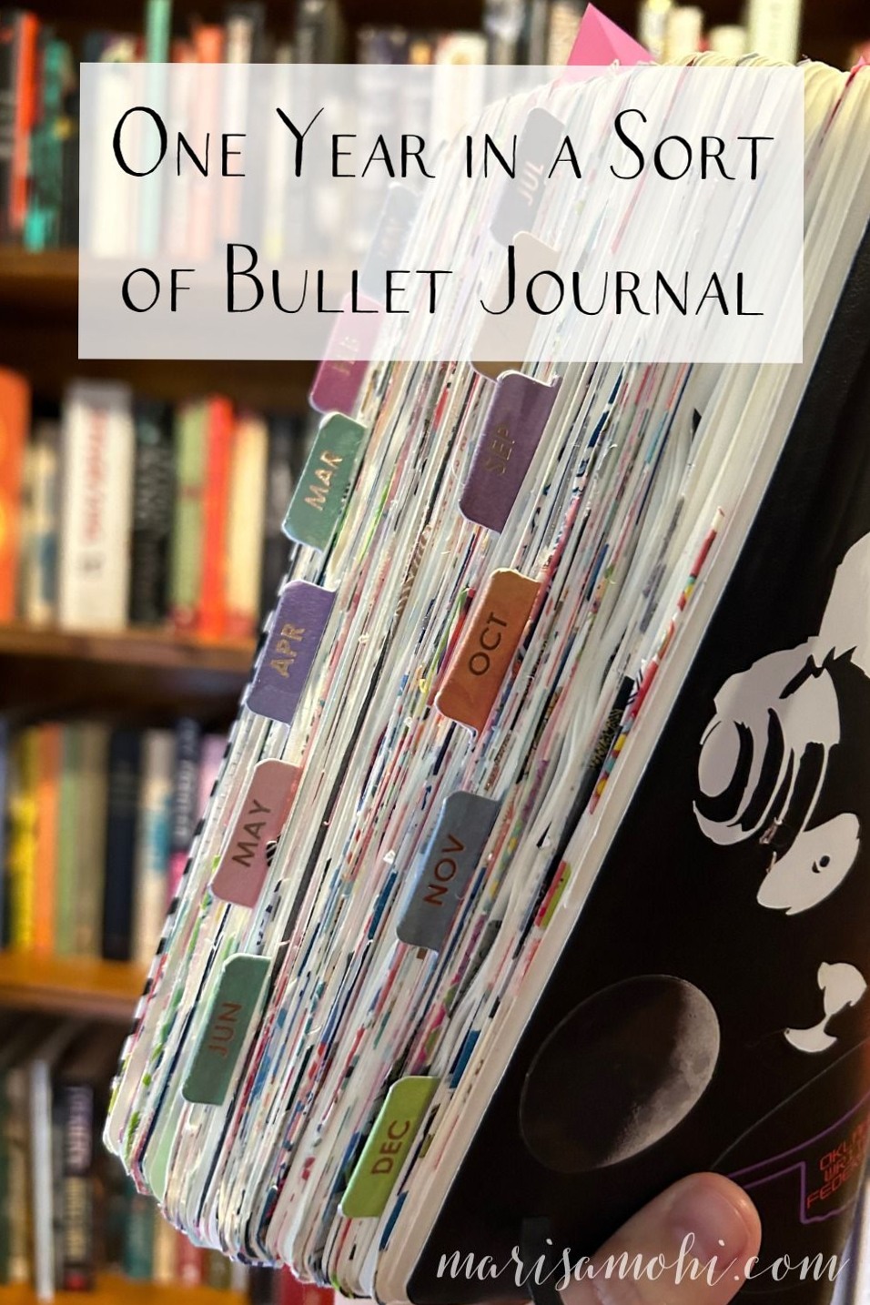 🌈 🖌️ dream life manifestation: One Year in a Sort of Bullet Journal — Marisa Mohi