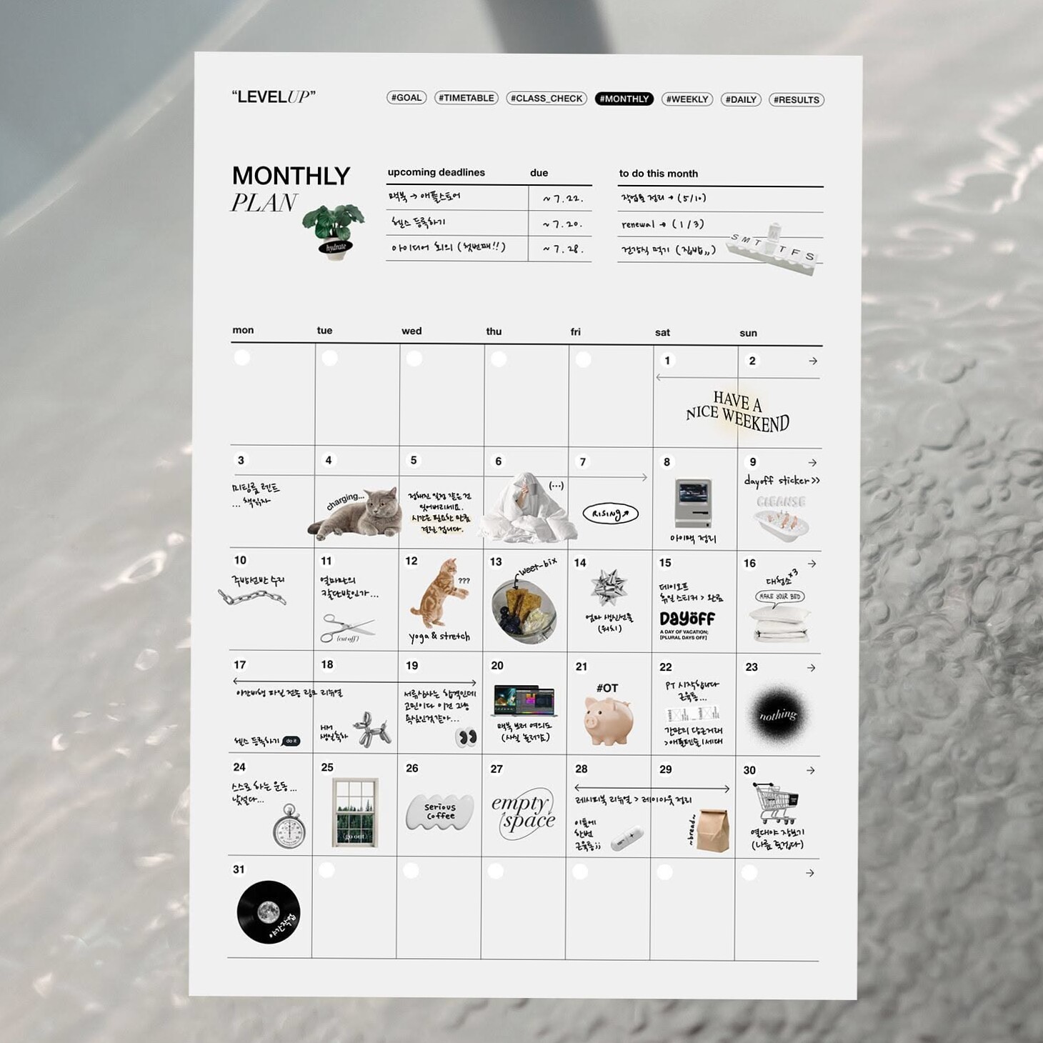 🌈 🌈 굿노트 먼슬리: 디지털 플래너 템플릿 | dream life manifestation