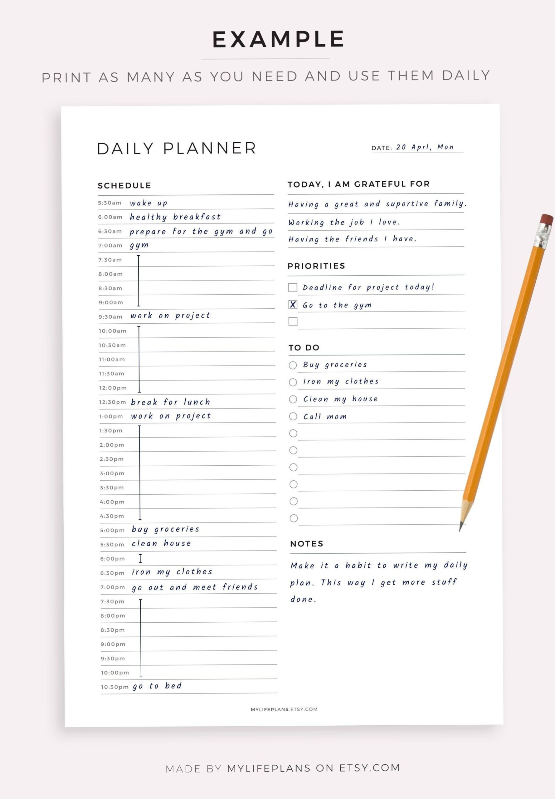 🎨 📍 Fillable Hourly Planner — A5 Daily To-Do Insert | dream life manifestation