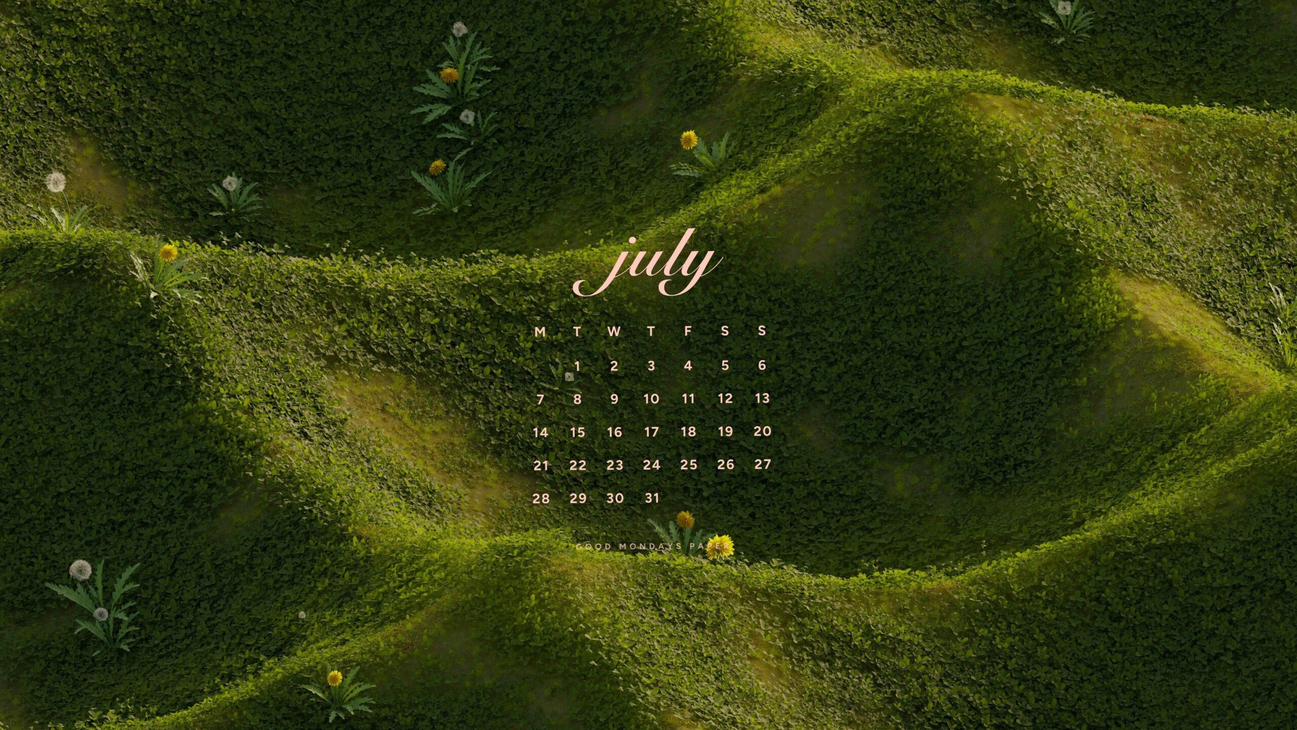 July 2025 Wallpapers for Designers & Planners — 🌿 🎀 stay inspired all year long