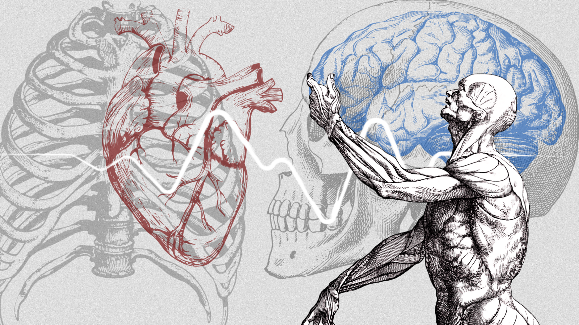 Medicine Wallpapers for Digital Design & Creative Planners — ✨ ☁️ dream life manifestation