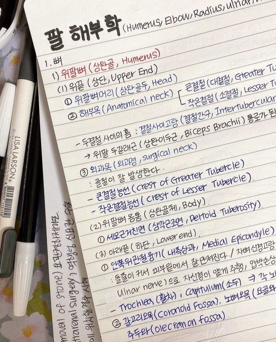 Nursing Student Planner Templates & Creative Designs — 📍 🌈 stay inspired all year long