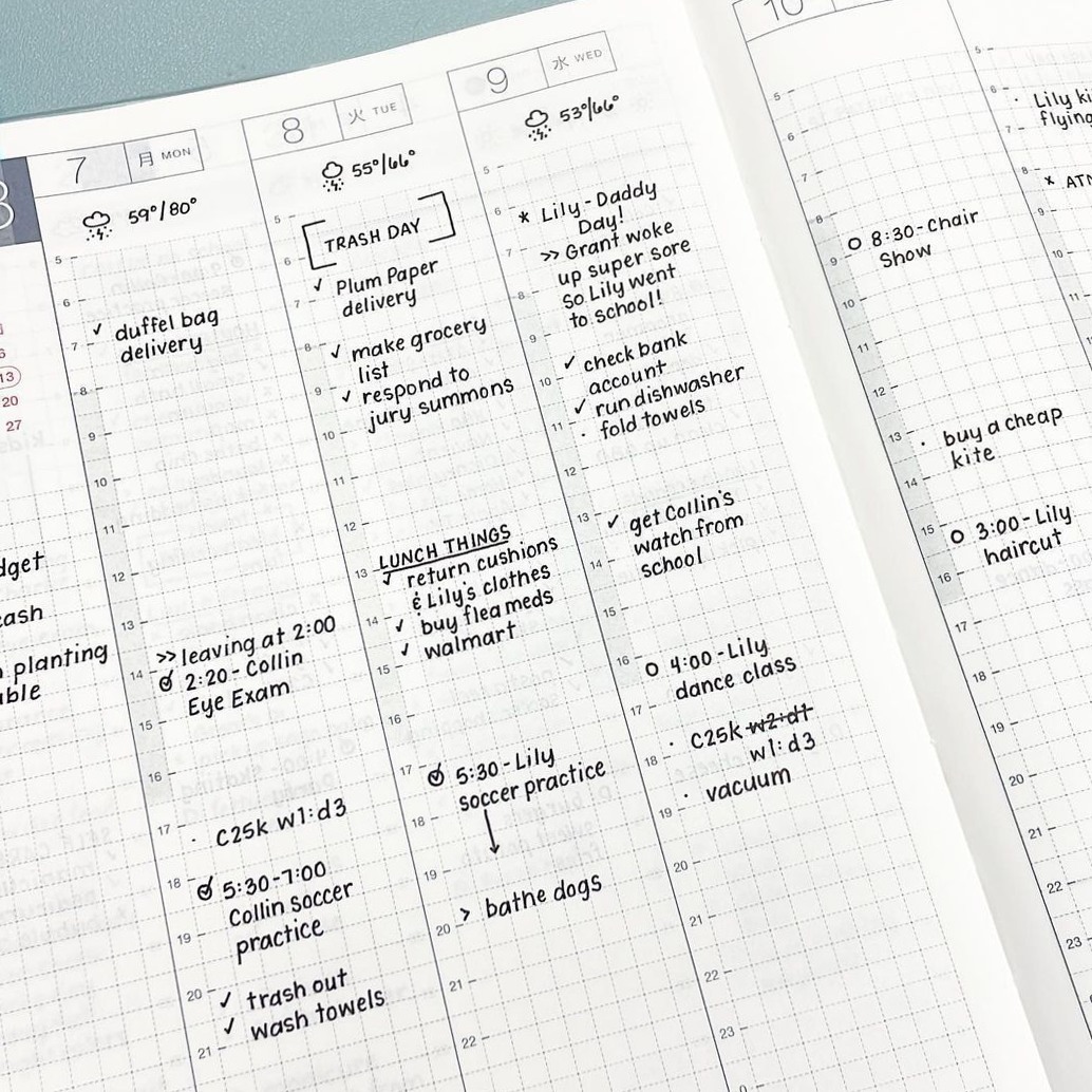 🖇️ 📌 Plan with Purpose: Planner 209 Essentials | stay inspired all year long