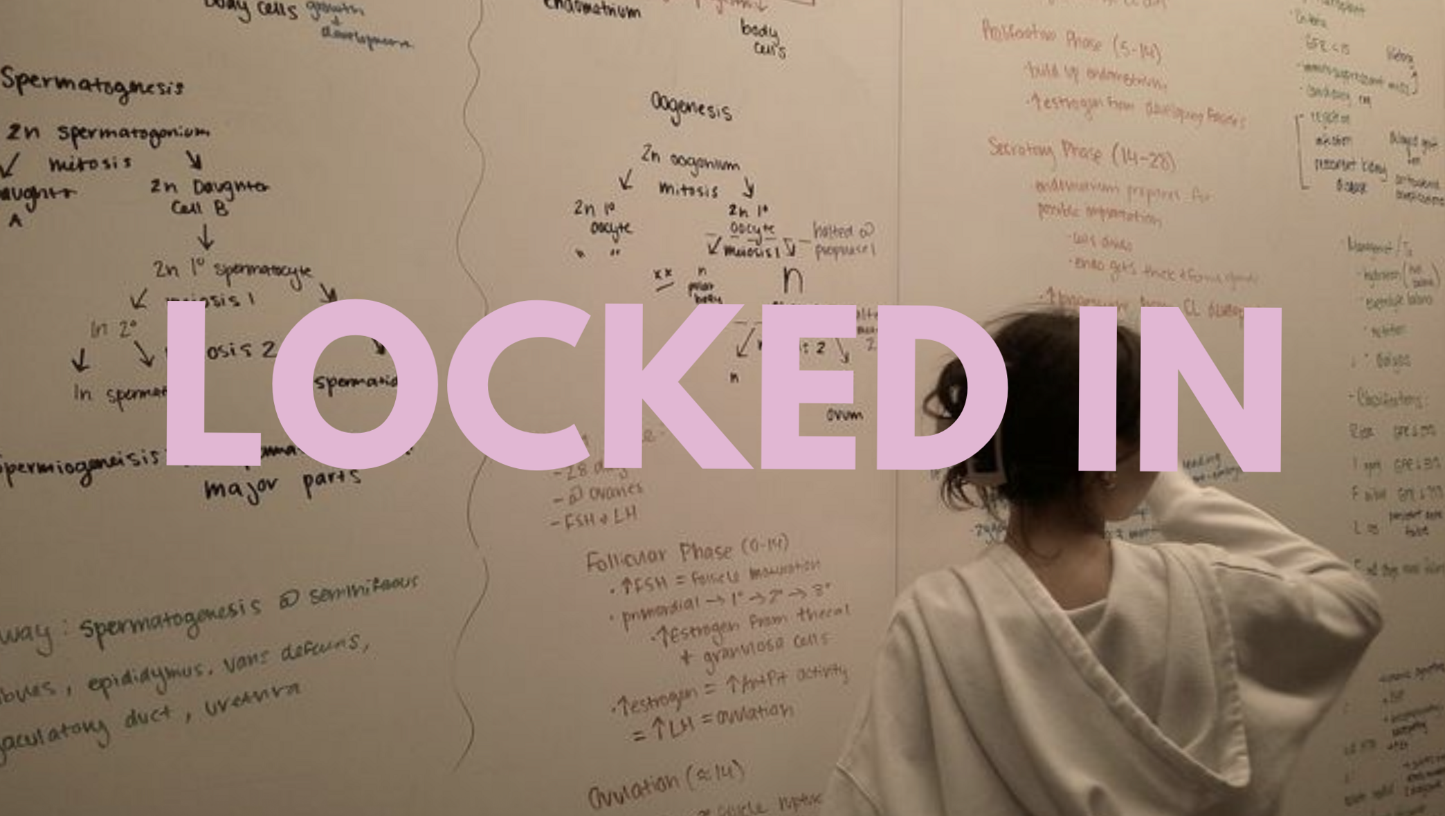 🎀 🕯️ romanticize your routine: 2026 Locked In Desktop Wallpaper Study Motivation