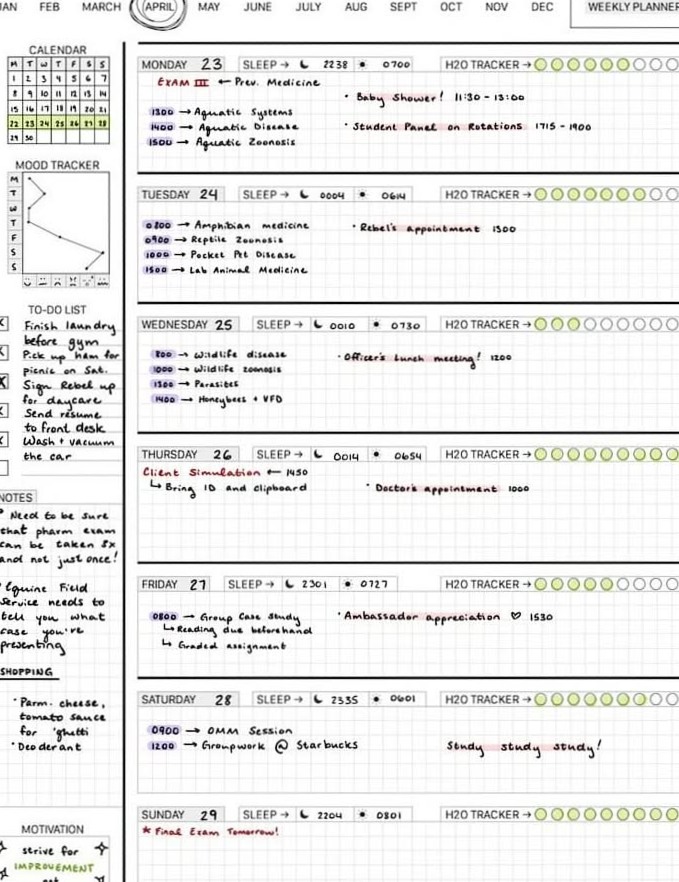 🤍 🌿 romanticize your routine: Veterinary Weekly Planner — Selfcare Design — Romanticize Your Routine
