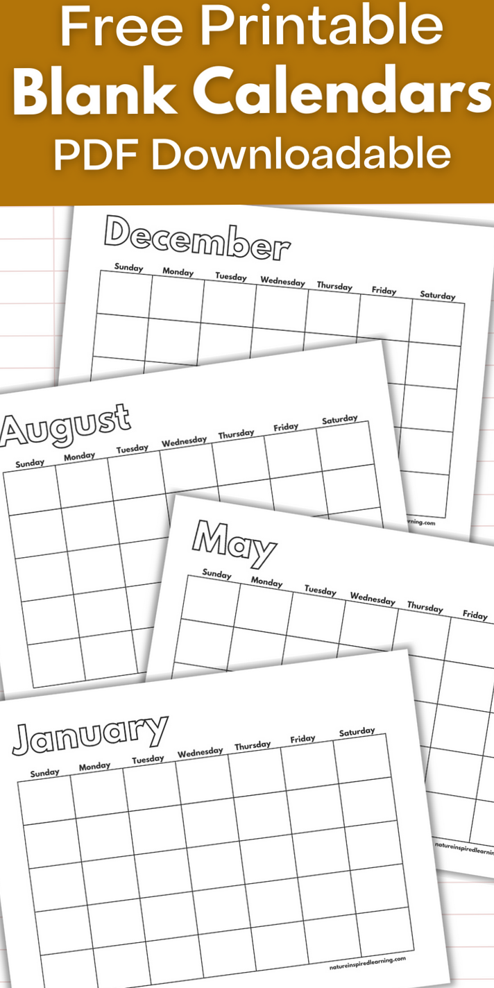 📌 📅 secret to staying productive: Digital Monthly Calendars for Design & Planning
