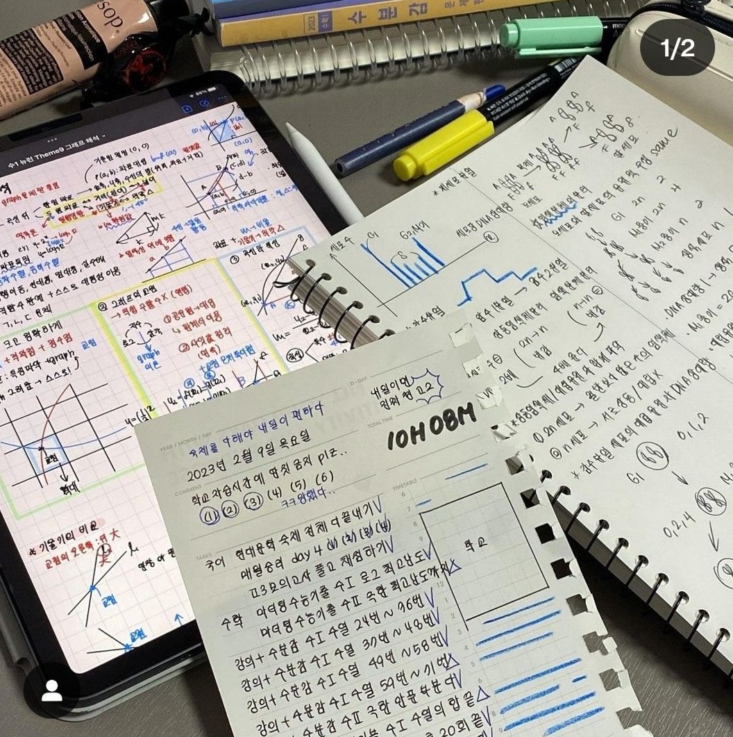 👰 🍰 stay inspired all year long: Study Motivation for Digital Design & Creative Planners