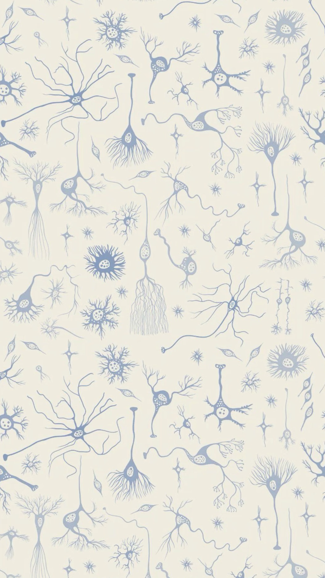 🎀 ☁️ stay inspired all year long: Neurology Neuron Mind and Soul Wallpaper Design