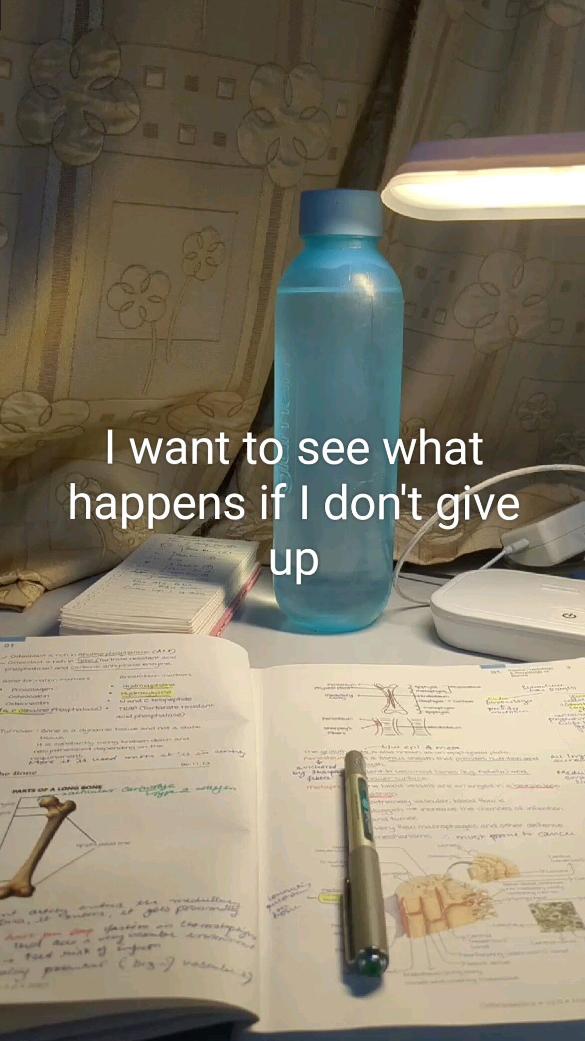 🍰 🍰 stay inspired all year long: What Happens If I Don’t Give Up?