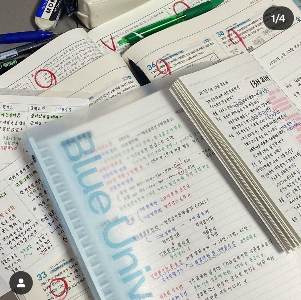 📊 📝 Study Planner for Digital Design & Creative Planning | dream life manifestation