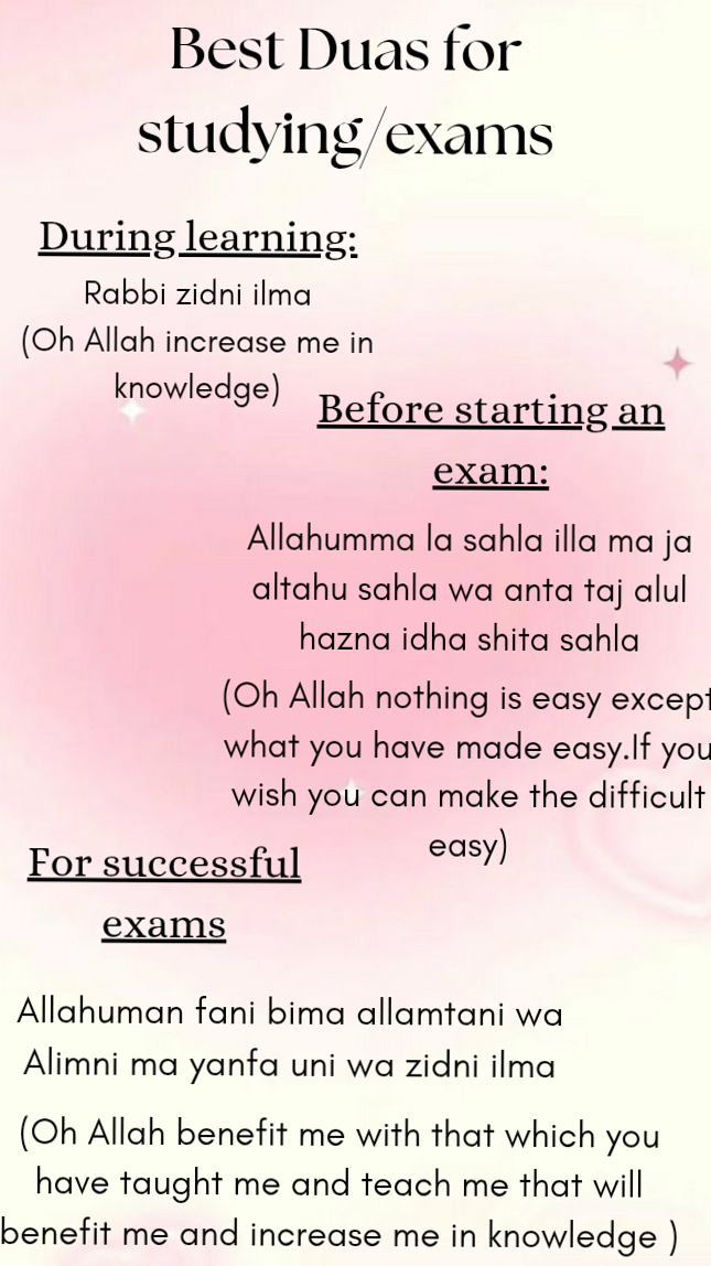 Study planners for creative minds — 🌸 💌 stay inspired all year long