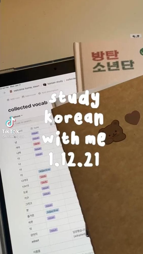 Study W Me: Digital Design Planners & Creative Assets — 💎 🌈 dream life manifestation