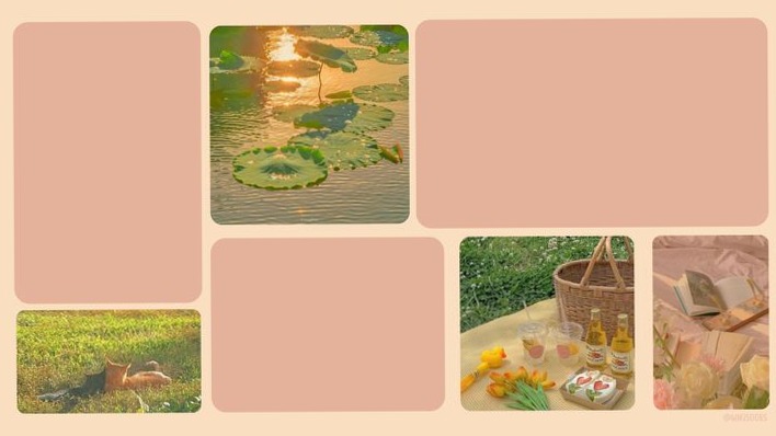 Sunshine Garden Desktop Organizer Wallpaper — 🪄 💎 stay inspired all year long