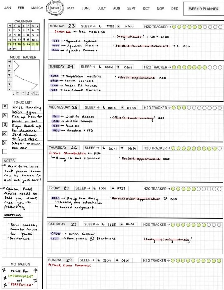 Veterinary Planner Weekly Tracker 04.28.18 — 💍 🍰 dream life manifestation