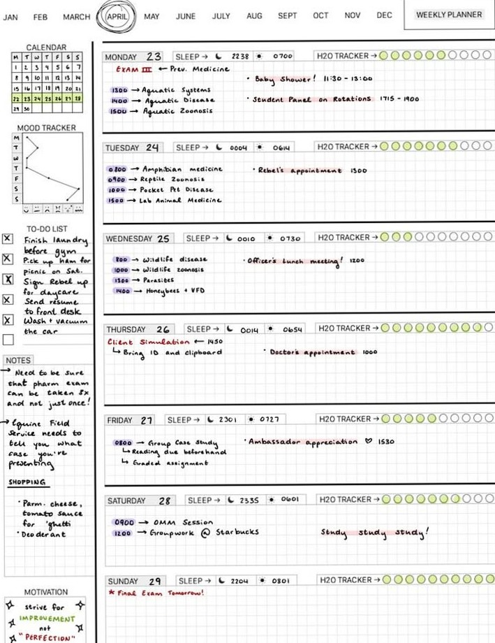 Veterinary Weekly Planner — 04.28.18 Selfcare Design — 📁 🖇️ romanticize your routine