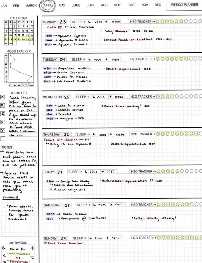 ☁️ 🎀 Veterinary Weekly Planner — Self Care Edition | secret to staying productive