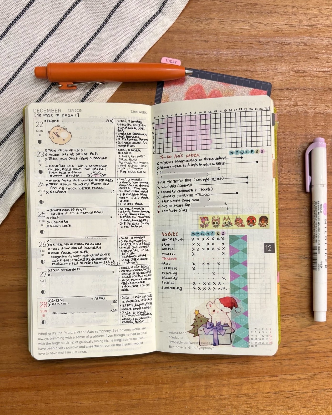 📊 📅 Week 52 in the Hobonichi Weeks Mega 2025 | stay inspired all year long