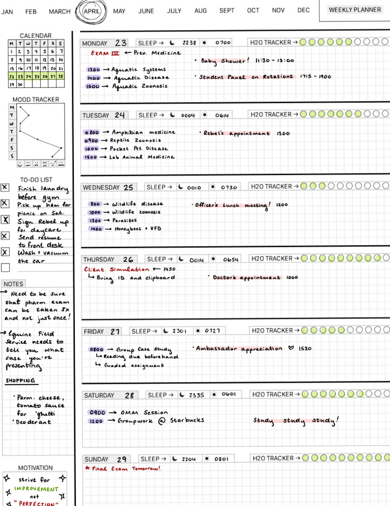 Weekly Task Planner for Organized Study Sessions — ☁️ 🌿 dream life manifestation